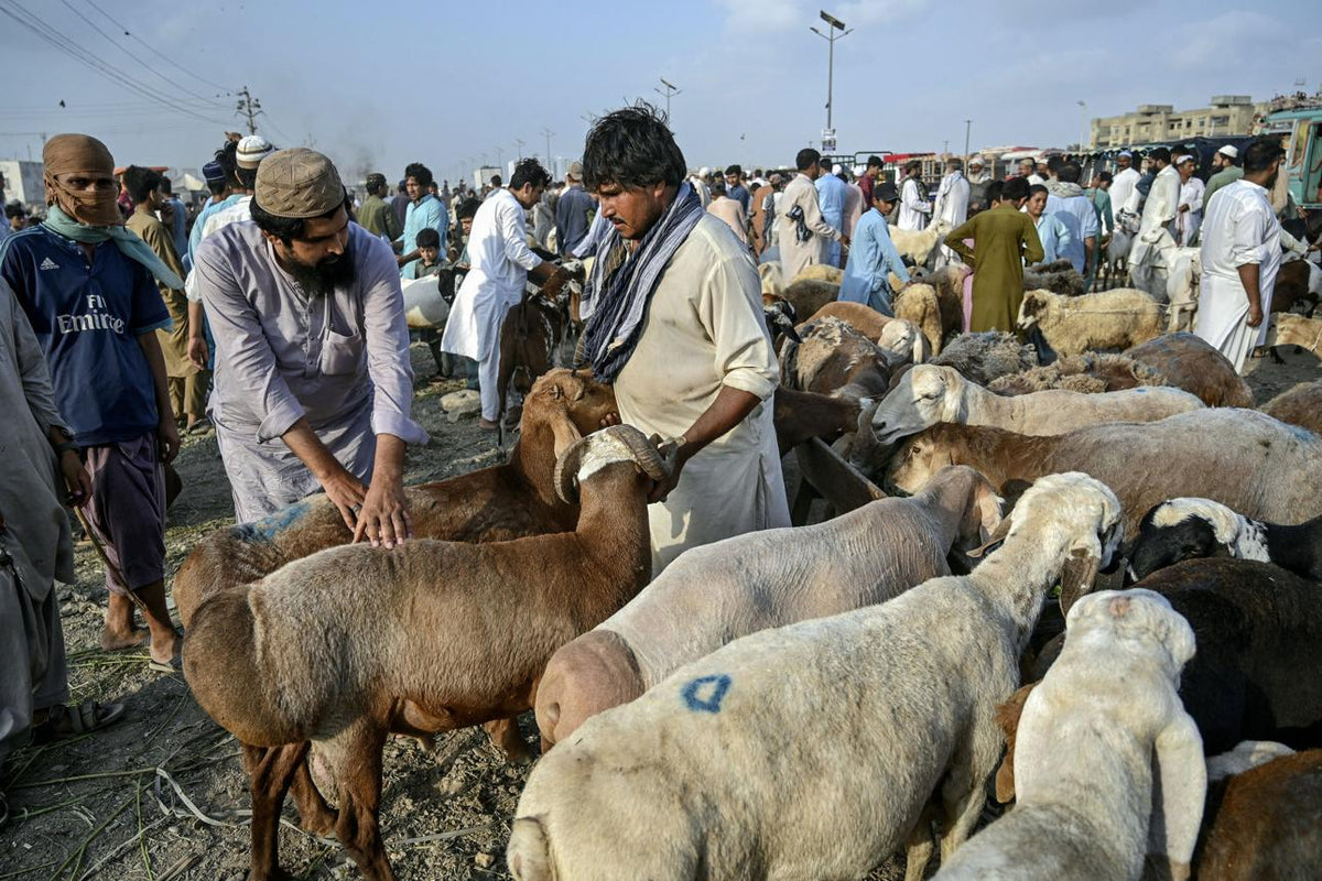 Eid ul Azha and the spirit of qurbani